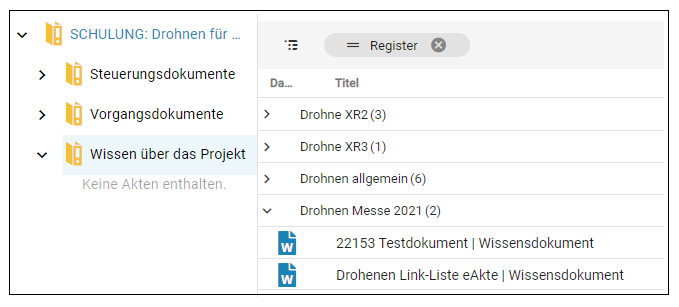 Zu sehen ist ein Ausschnitt aus dem DMS/eAkte. In einer Akte wurde ein Vorgang ausgewählt. Unterhalb des Vorgangs wurden die Dokumente mithilfe eines Registers gruppiert. Eine Gruppierung ist ausgeklappt darunter sind die Dokumente zu finden.