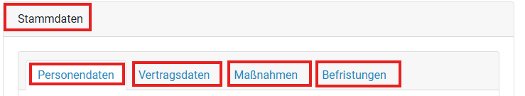 Auf der Abbildung werden die Stammdaten mit den jeweiligen Kategorien mit einer roten Umrandung gezeigt.